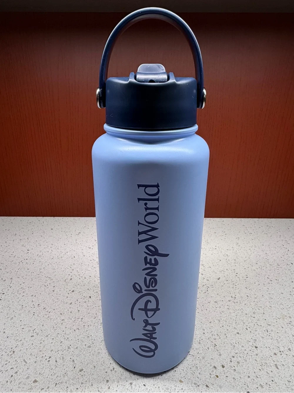 NEW 2026 DISNEY WORLD CINDERELLA CASTLE JUMBO 1 LITER WATER BOTTLE IN BLUE